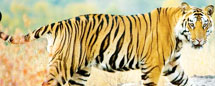 Fauna selvatica dell'India con l'India agenzia di viaggi